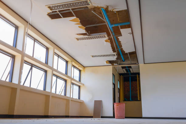 Best Basement water damage restoration  in Elwood, IN