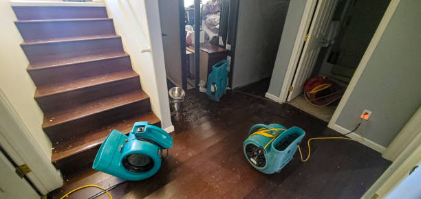 Best Flood damage cleanup  in Elwood, IN