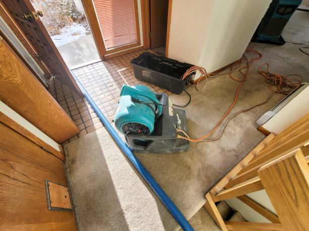 Best Residential water damage restoration  in Elwood, IN