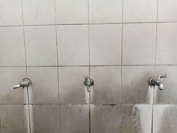 Best Water damage restoration insurance claims  in Elwood, IN