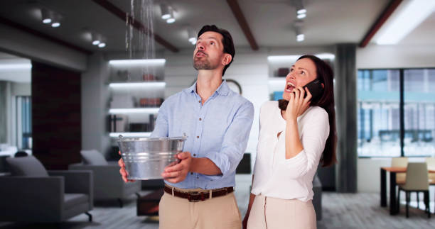 Best Sewage cleanup and water damage restoration  in Elwood, IN